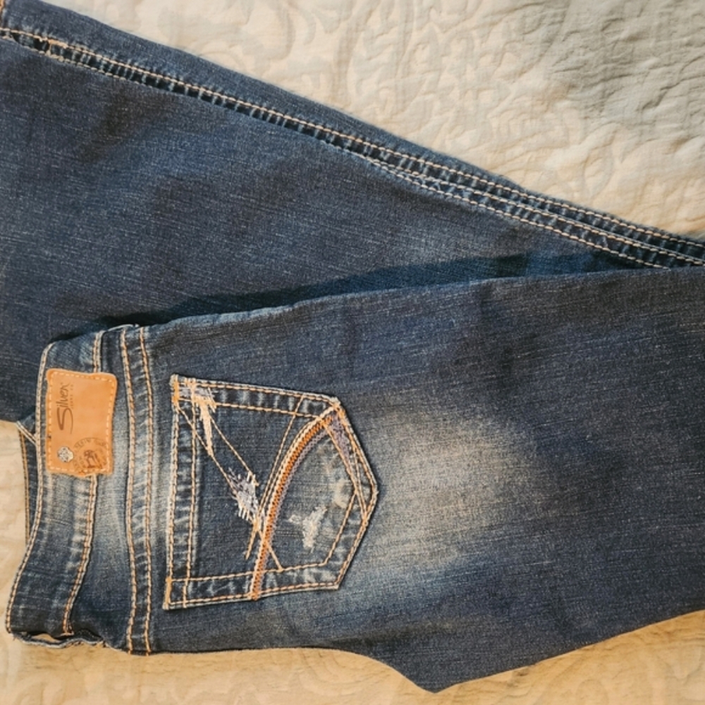 Vintage Silver Jeans Women's Flare - Blue